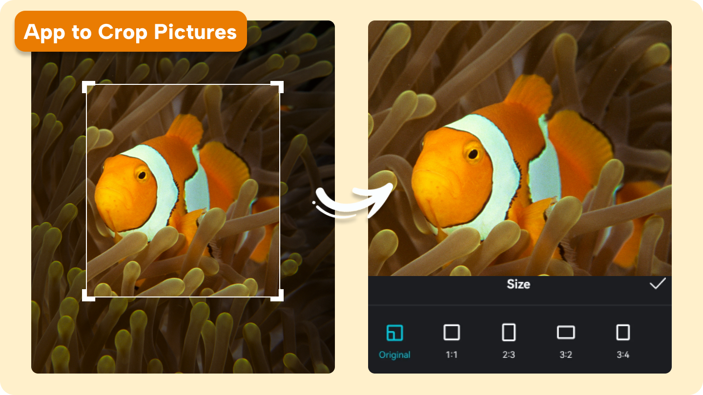 aplicativo para recortar imagens