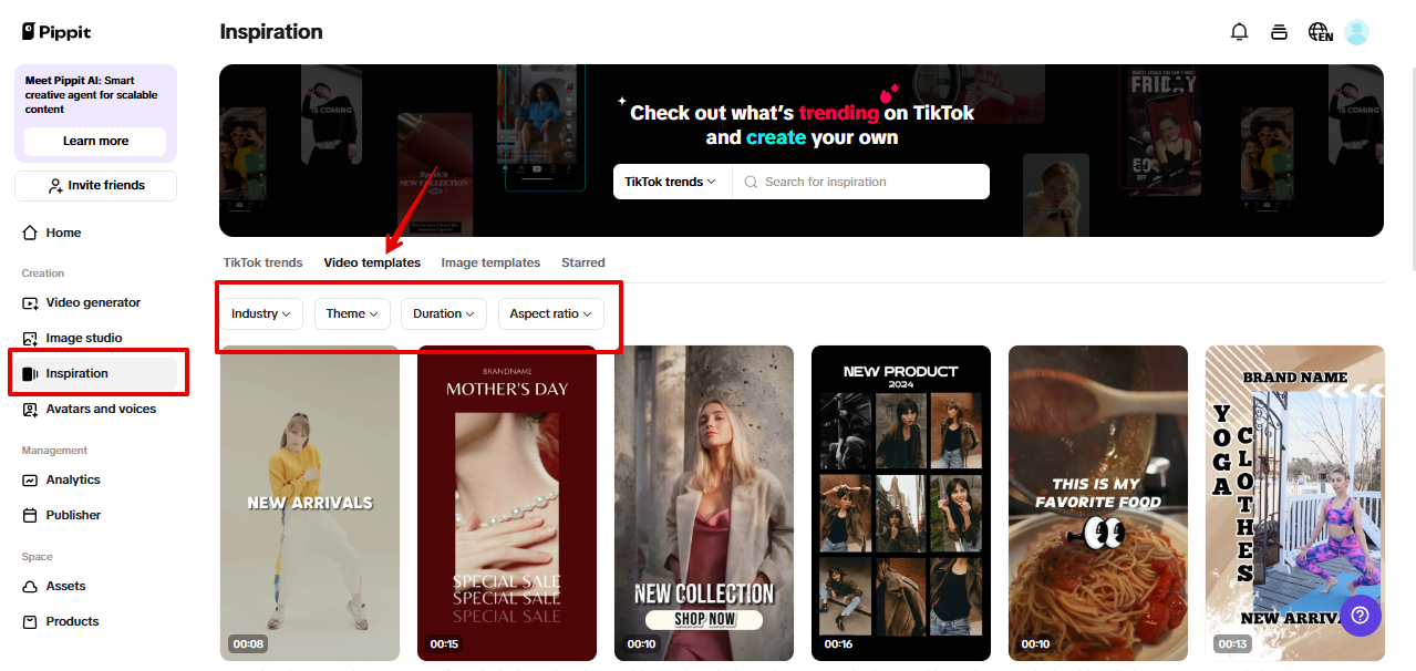 Wstępnie zatwierdzone zasoby Pippit