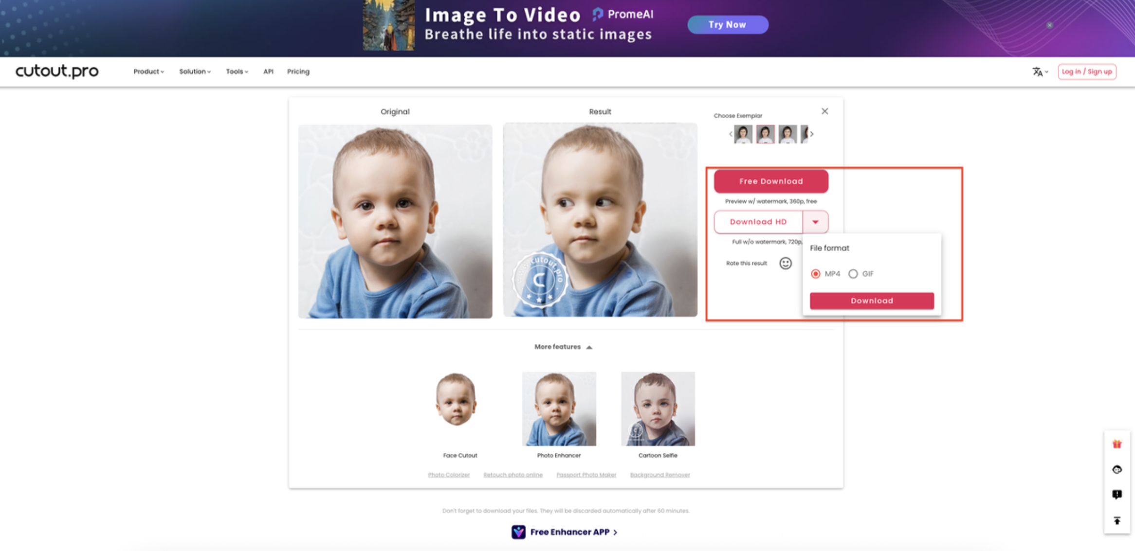 Canlı fotoğrafı indir