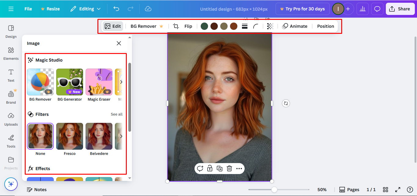 Aplicando filtros y mejoras al editor de fotos Canva