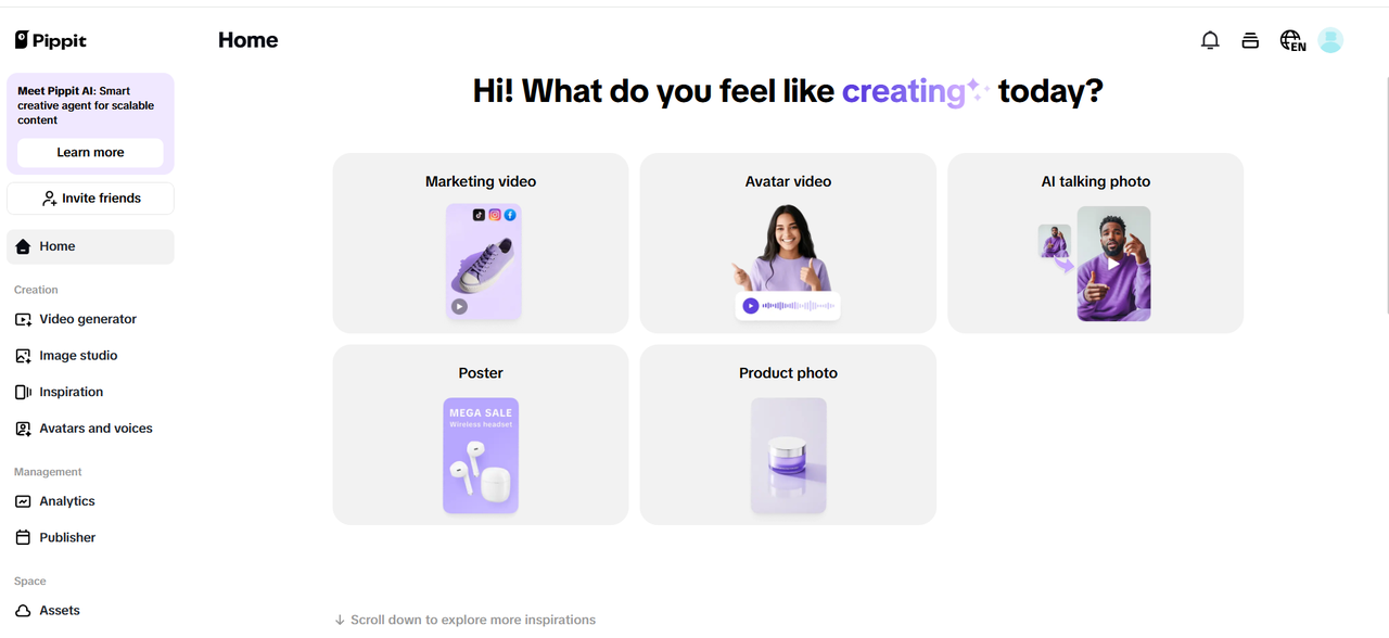 Pippit interface