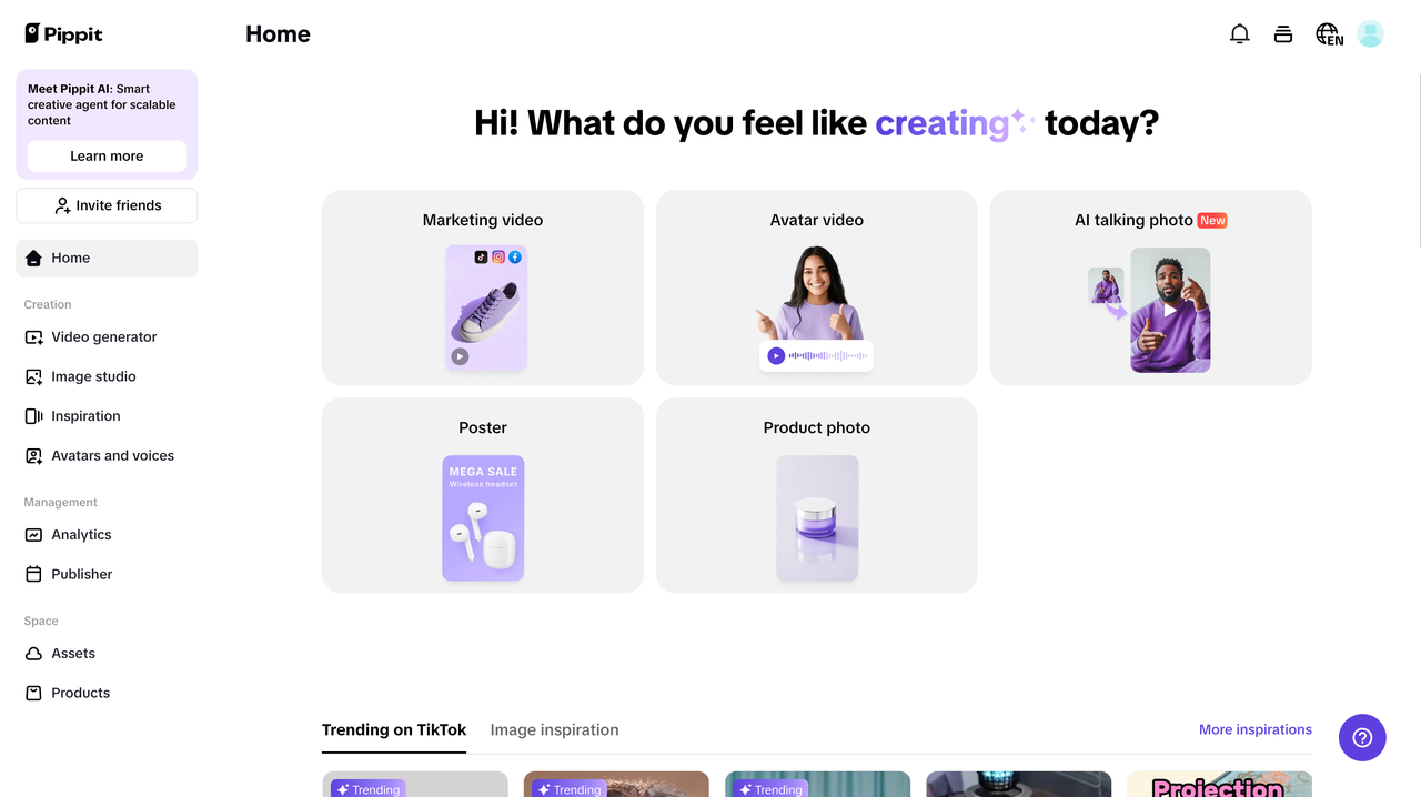 Pippit interface
