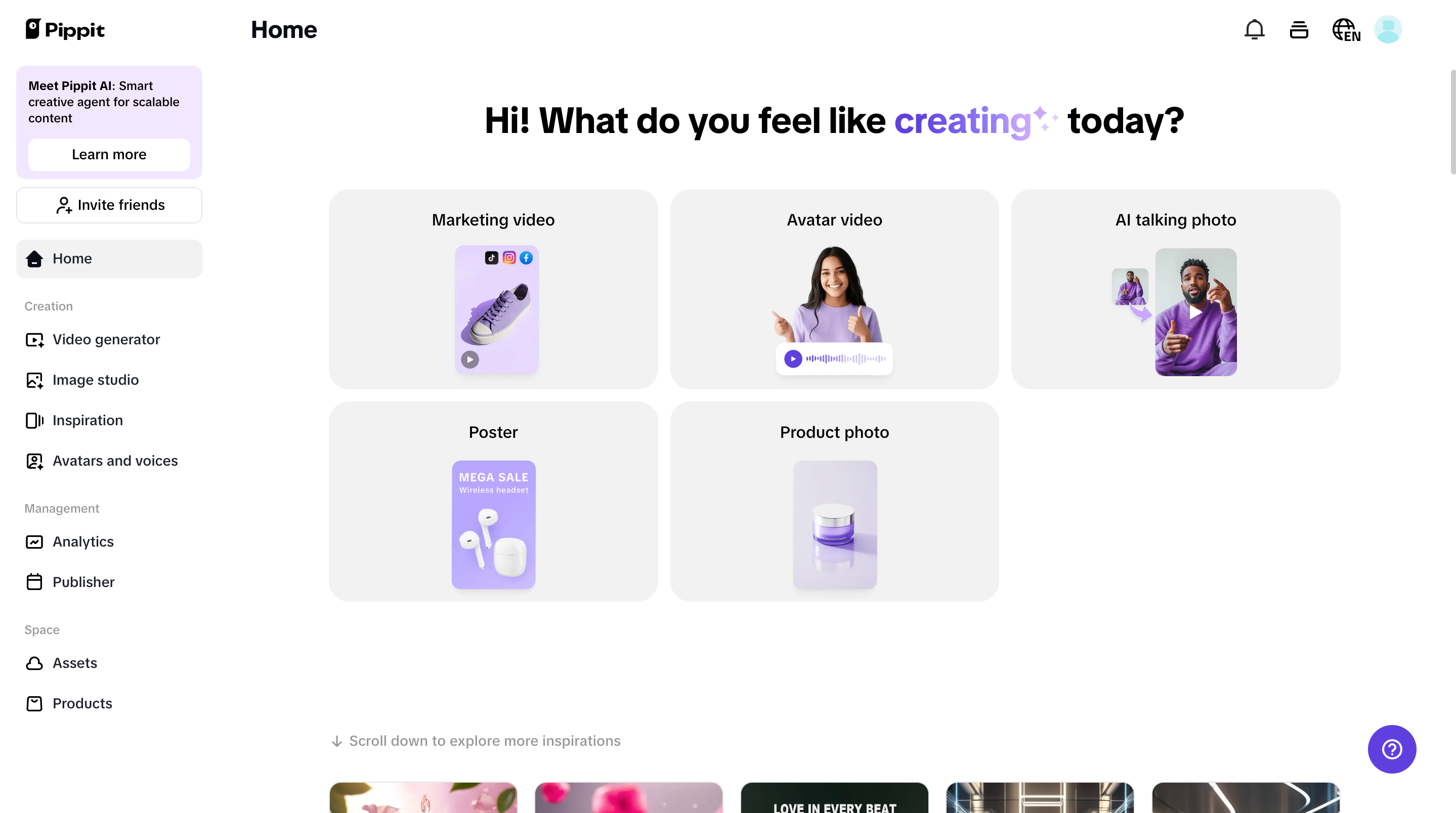 Pippit interface