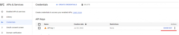 Copierea cheii API de analiză YouTube din Google Developers Console