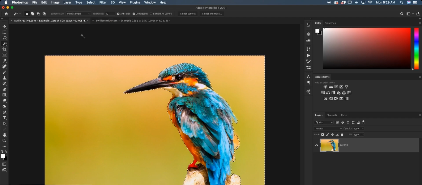 Select the object in the image