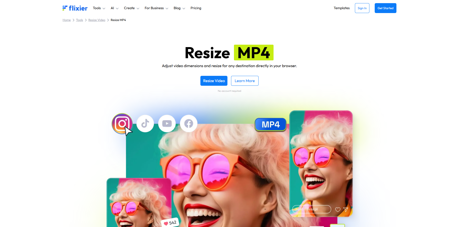 Flixierのインターフェース-貴重なMP 4ビデオリサイズツール
