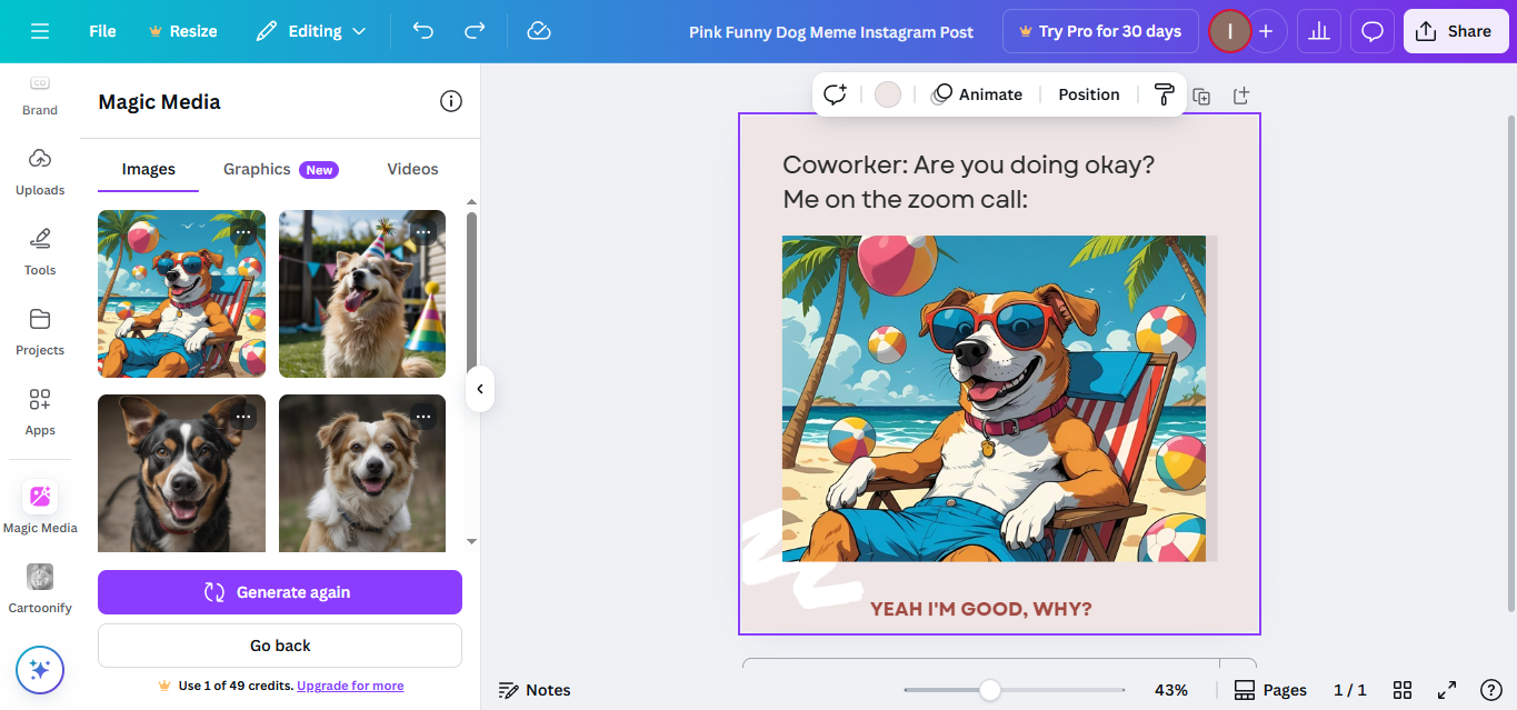 Schnittstelle von Canva - kostenloser Online-Spaß-Fotomacher