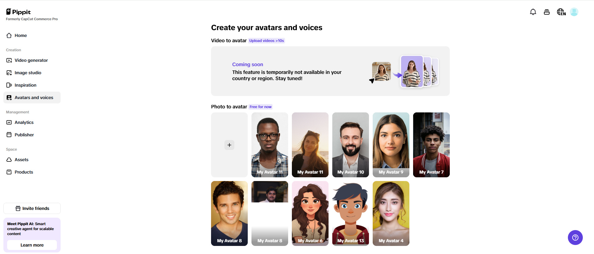Voices and avatar