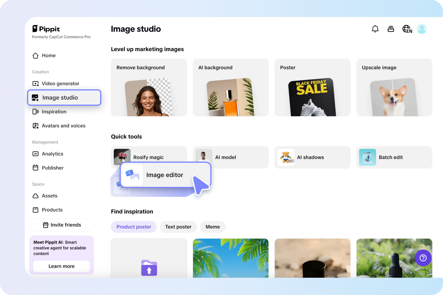 Access Image editor