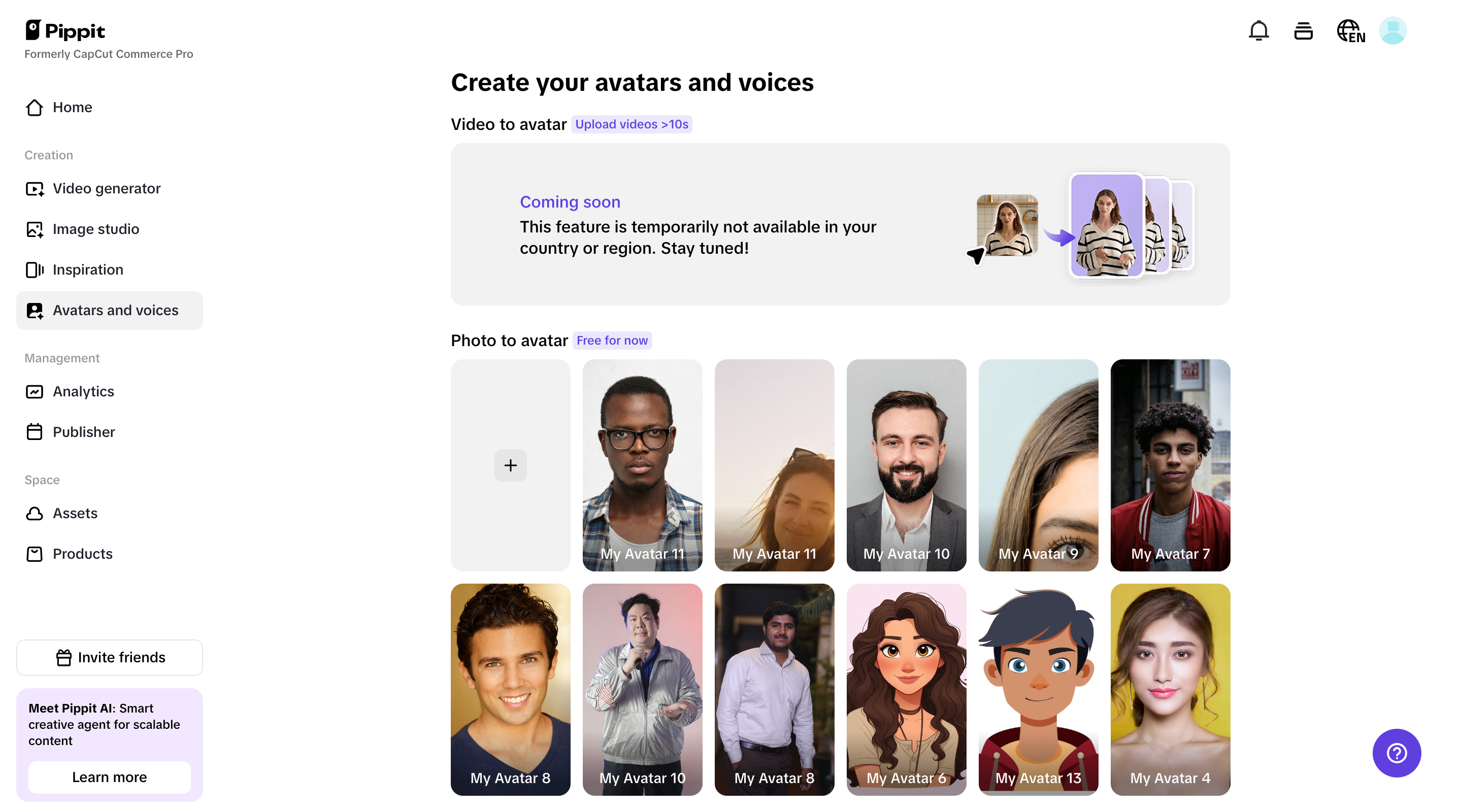 Avatars and voices