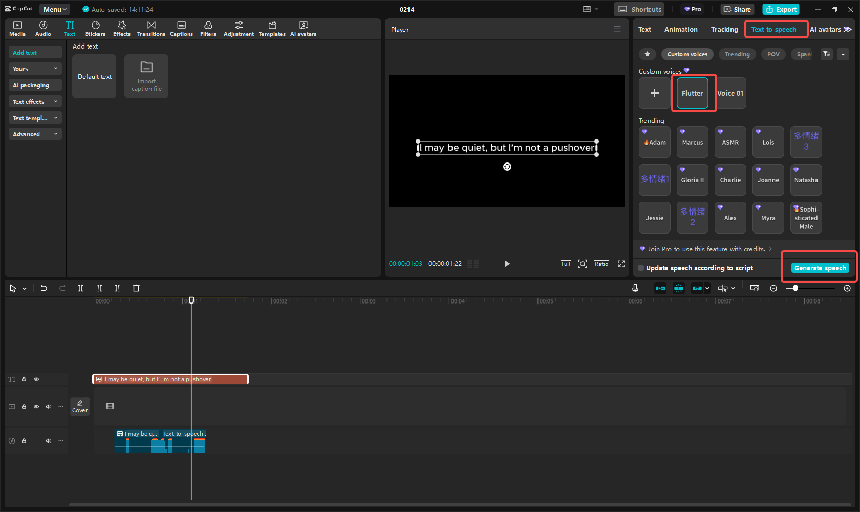 Custom voice feature