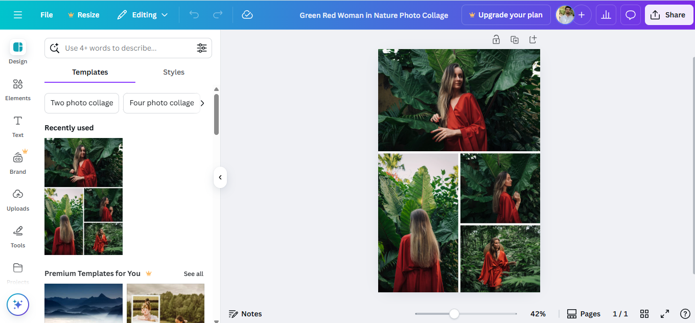 Canva - uno strumento di riferimento per la creazione di layout fotografici