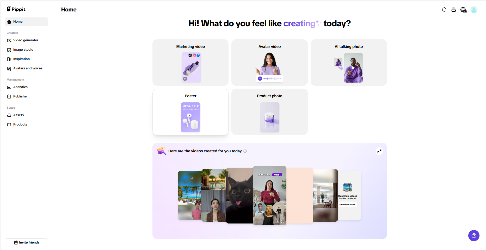 Pippit interface