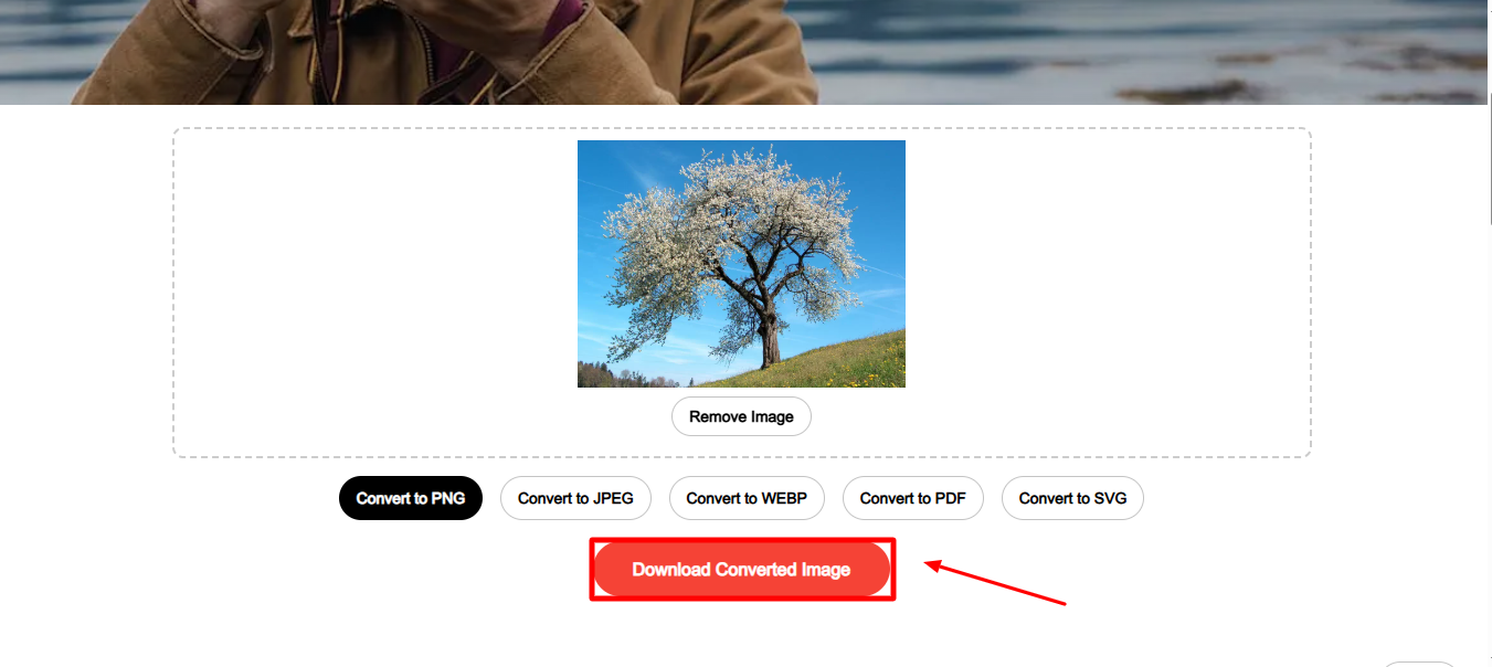 Shutterstockで画像をダウンロードしてください。