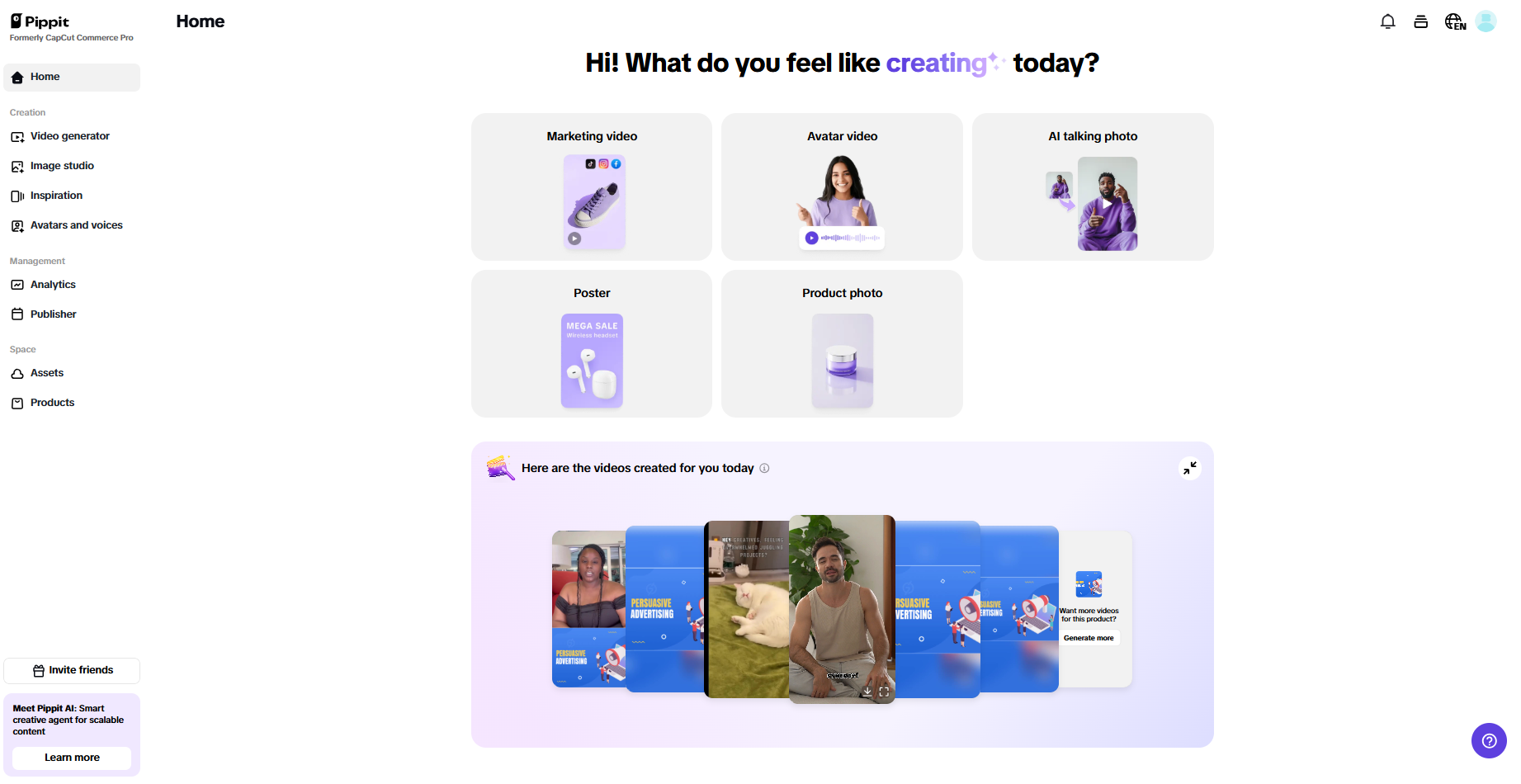 Pippit interface