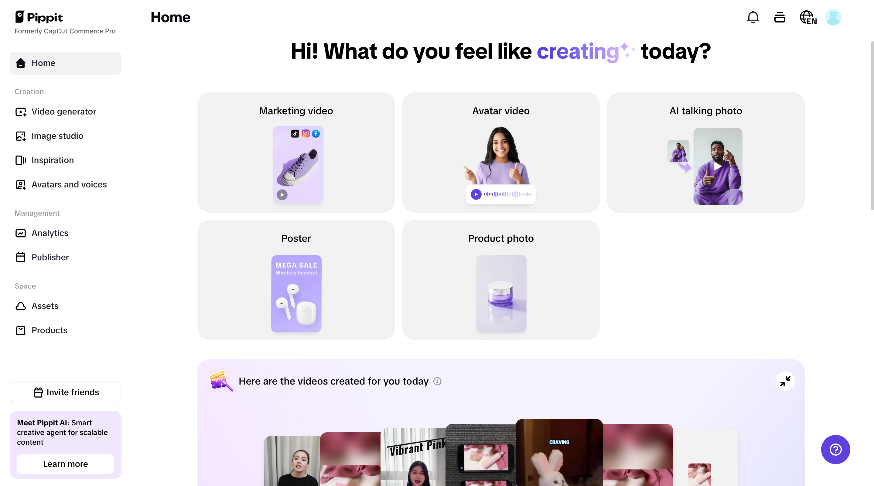 Pippit interface
