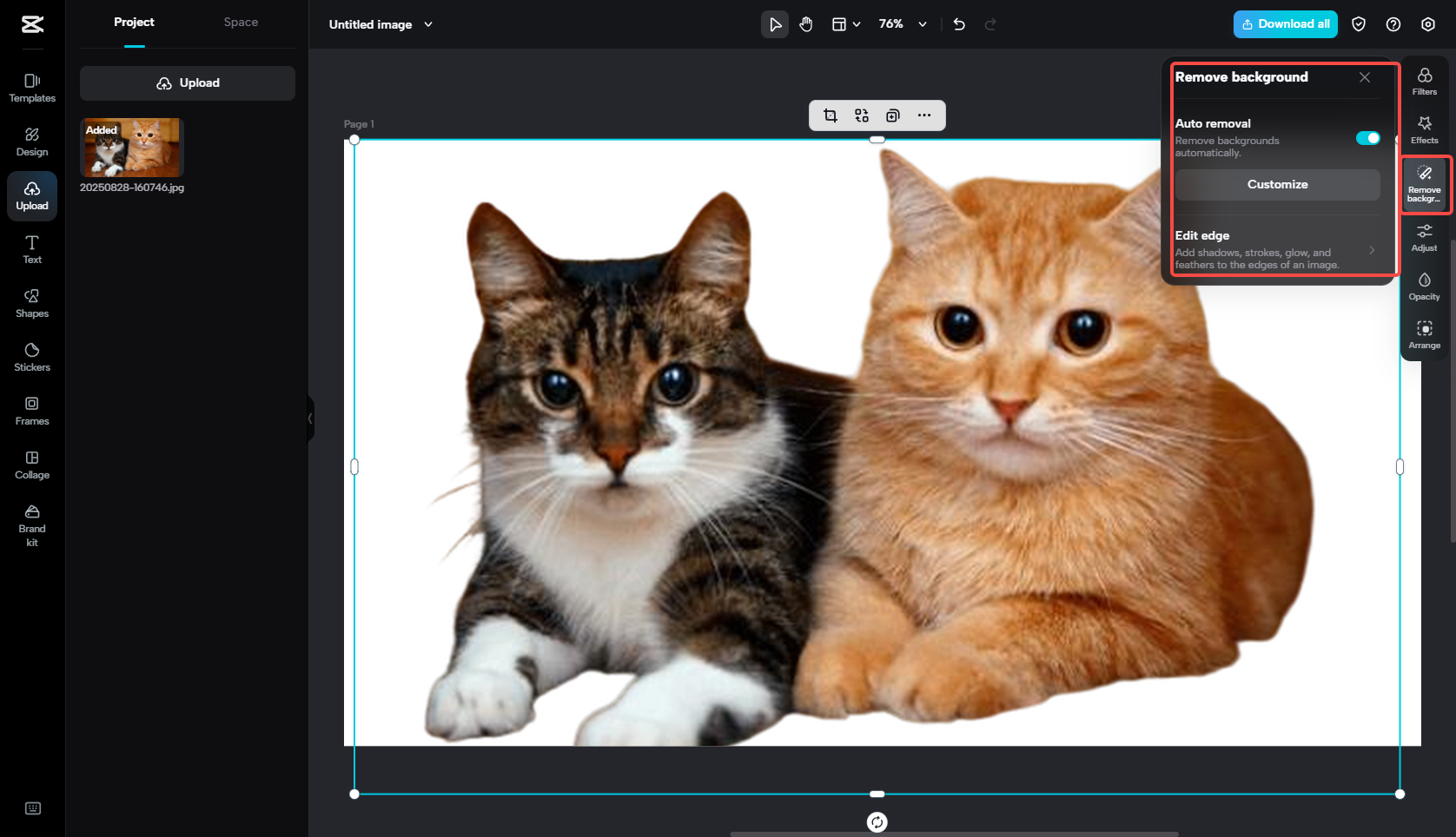 Remove the image background automatically