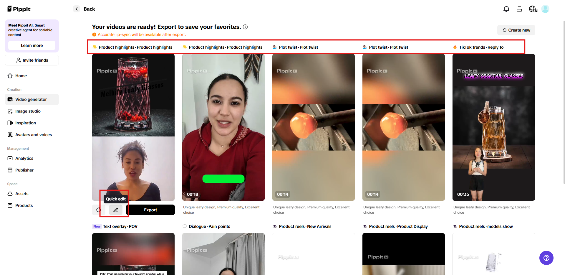 Multiple format videos