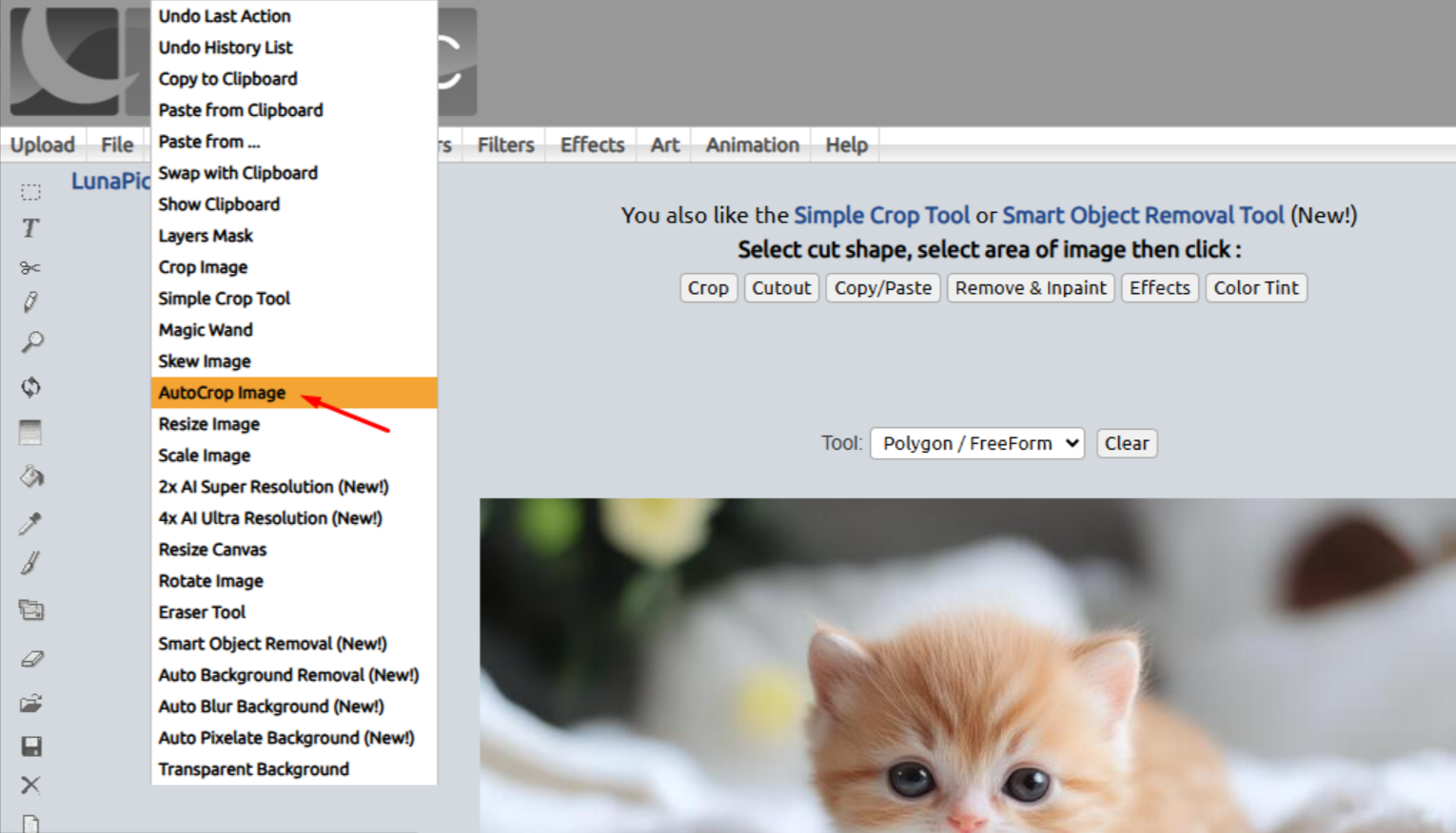 Using the auto-crop tool in LunaPic online photo editor