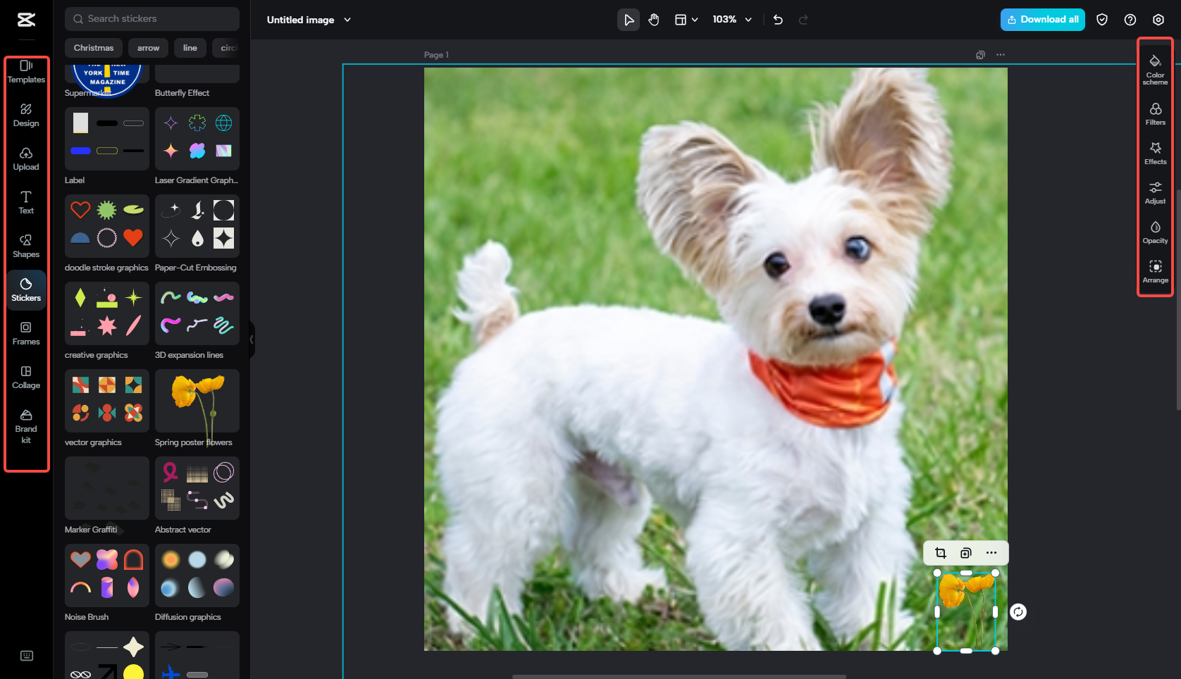 Customize the resized image