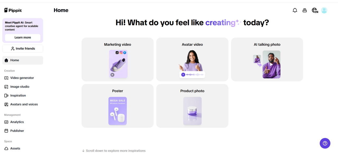 Pippit interface