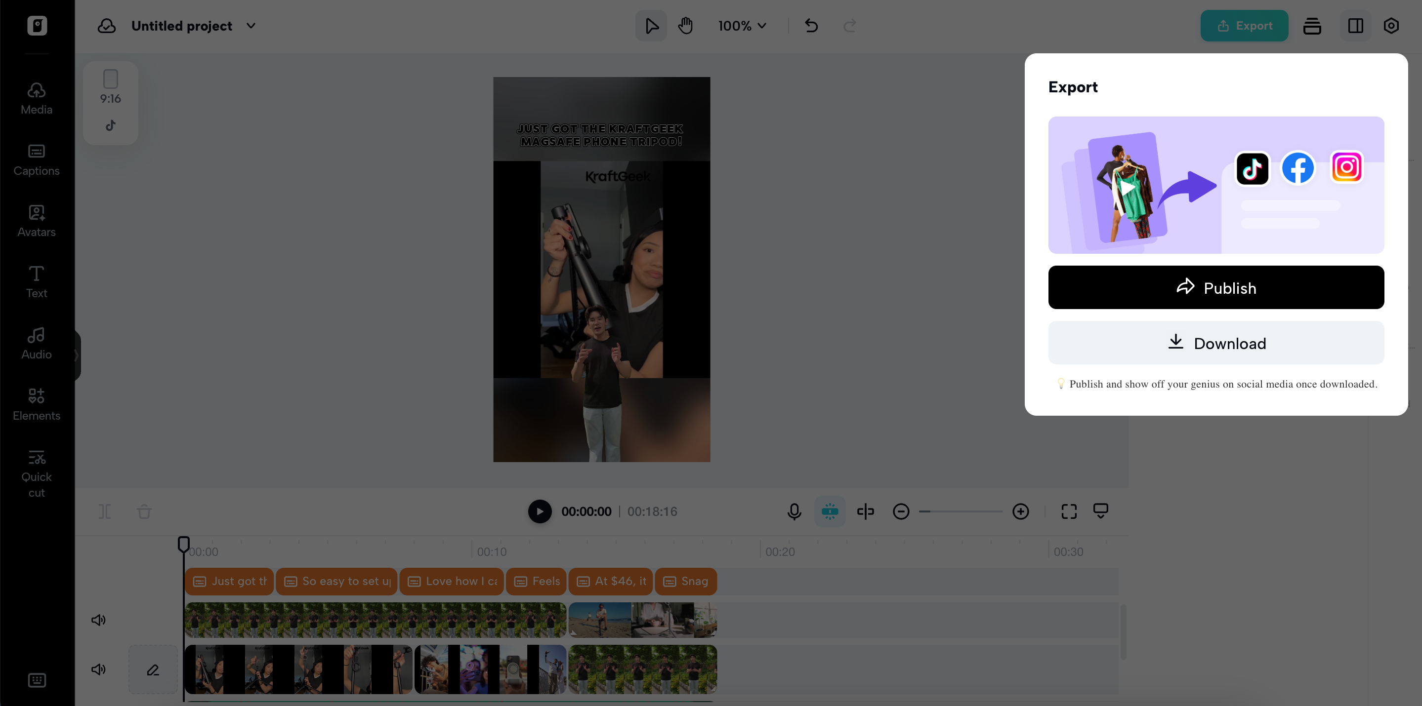 Exporting ad from Pippit