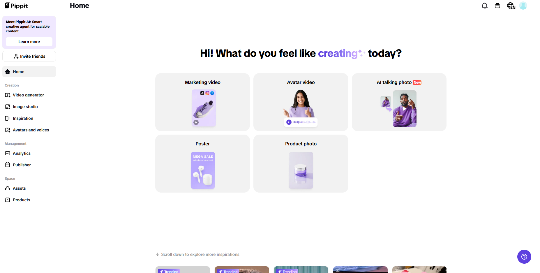 Pippit interface