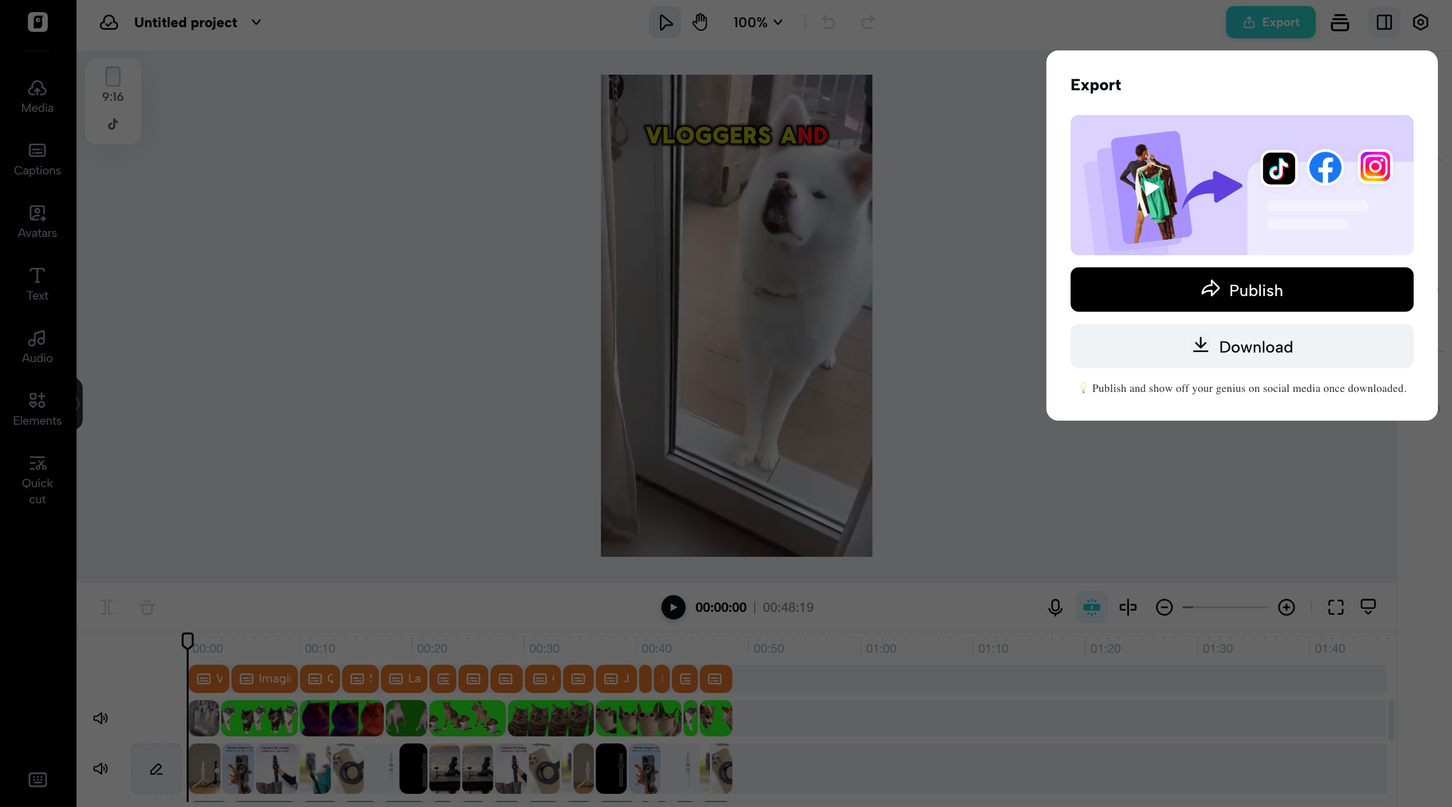 Export your video