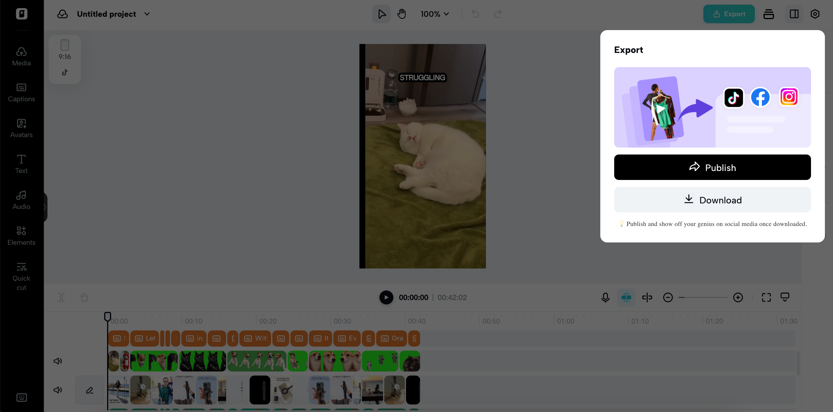 Export your video