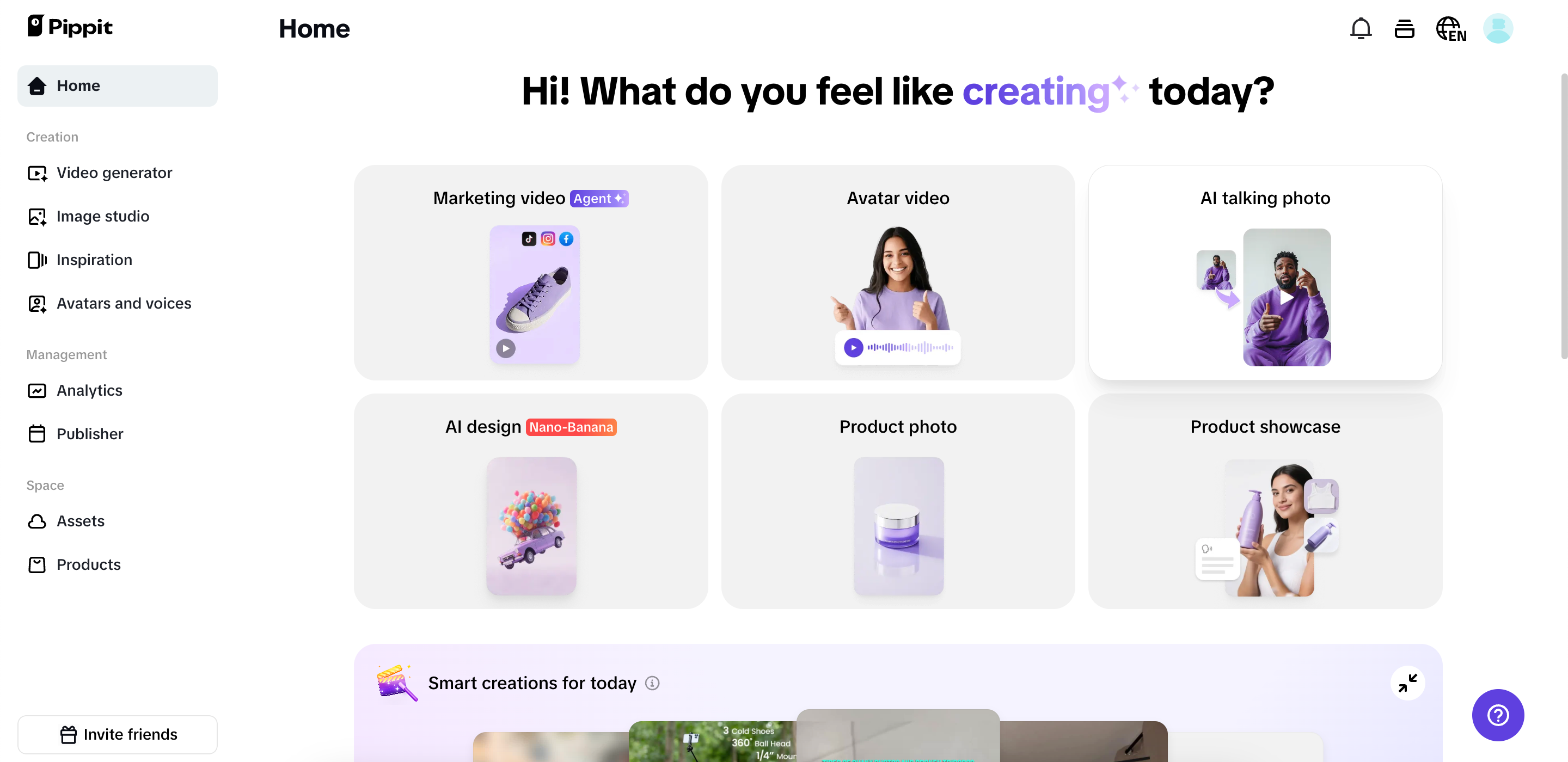 Pippit interface
