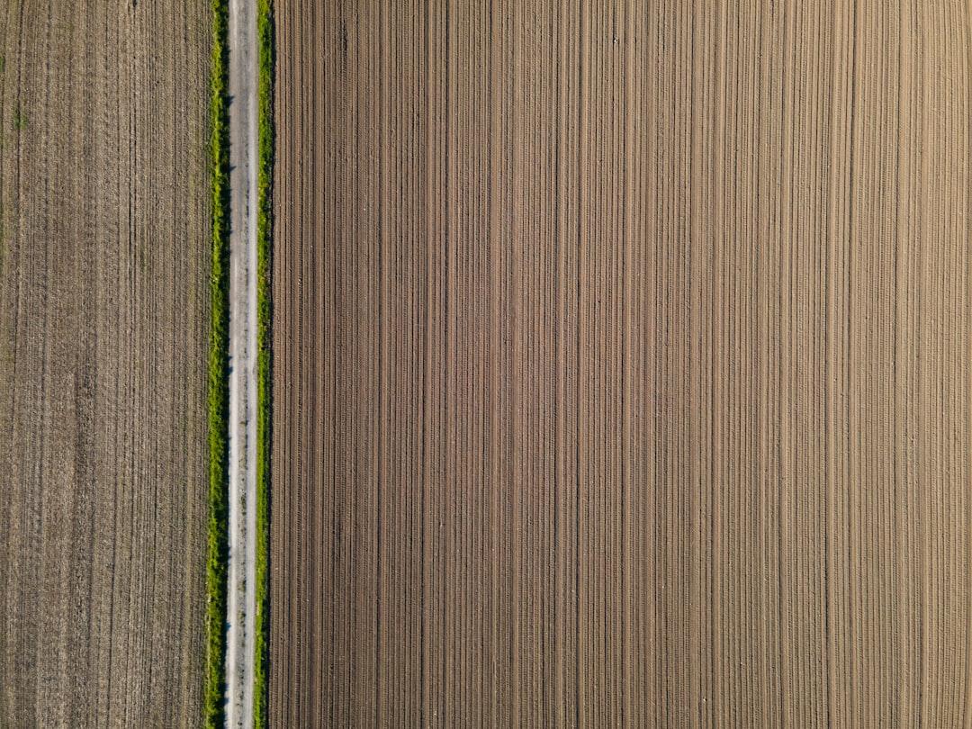 Grid of 100% crop comparisons showing sharpening halos vs. clean edges