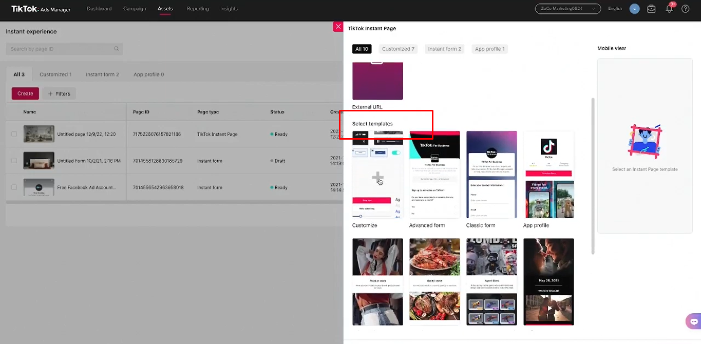 Escolhendo o modelo desejado para o formulário TikTok