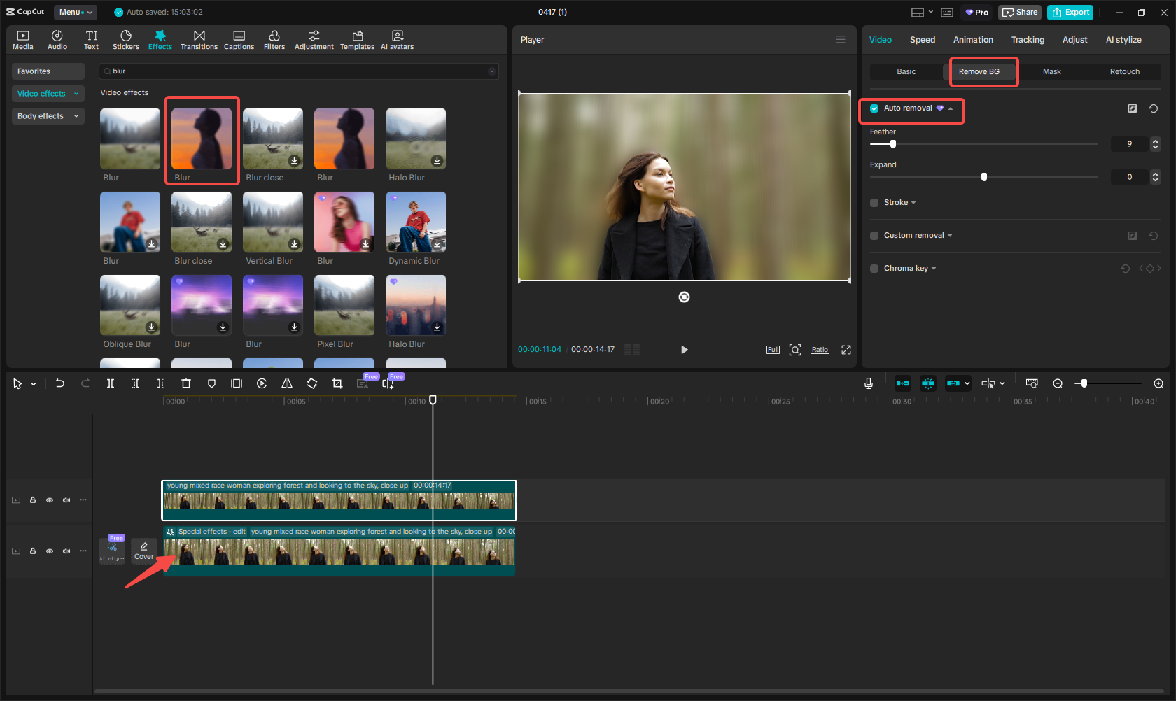 Blur the video background