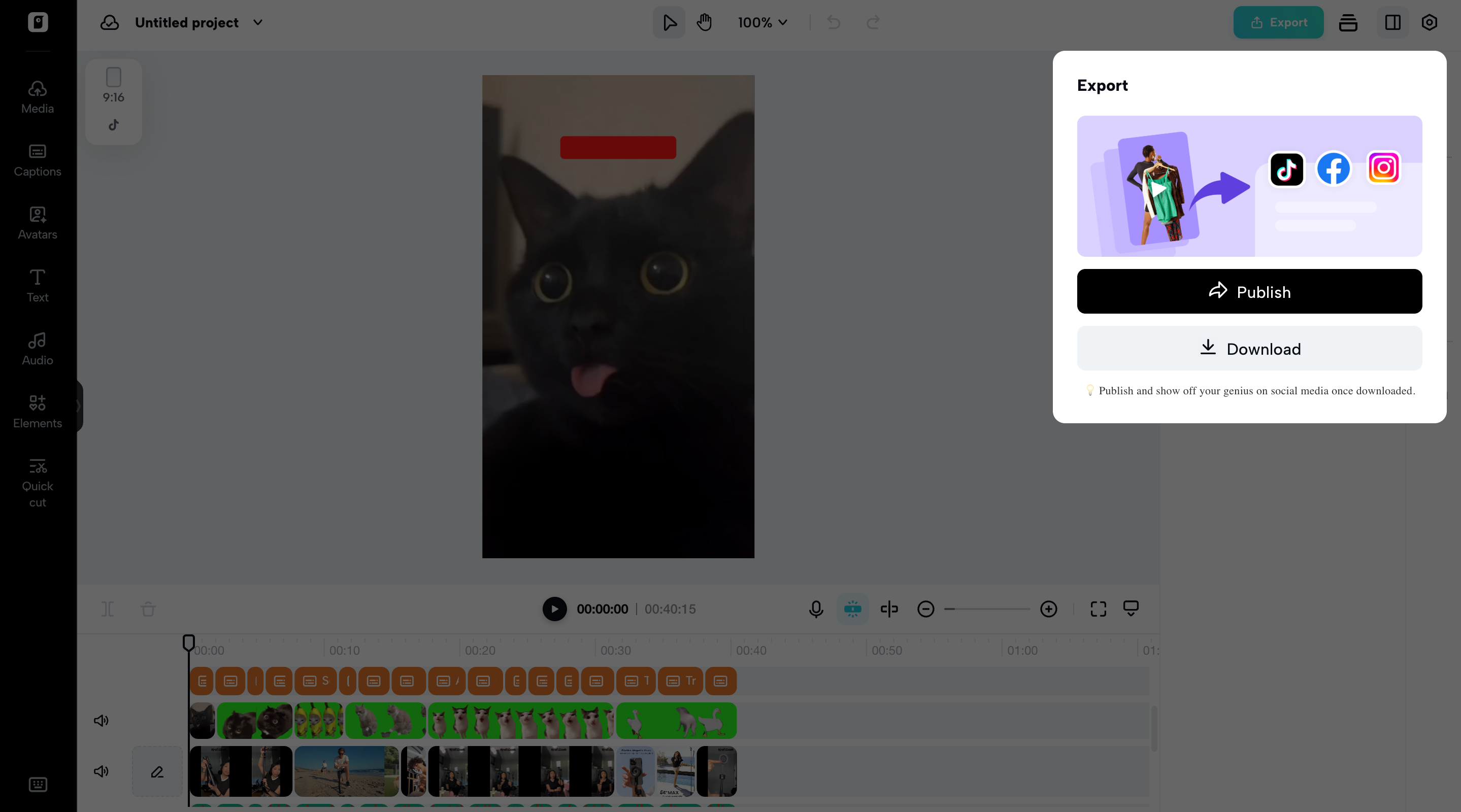 Export videos from Pippit
