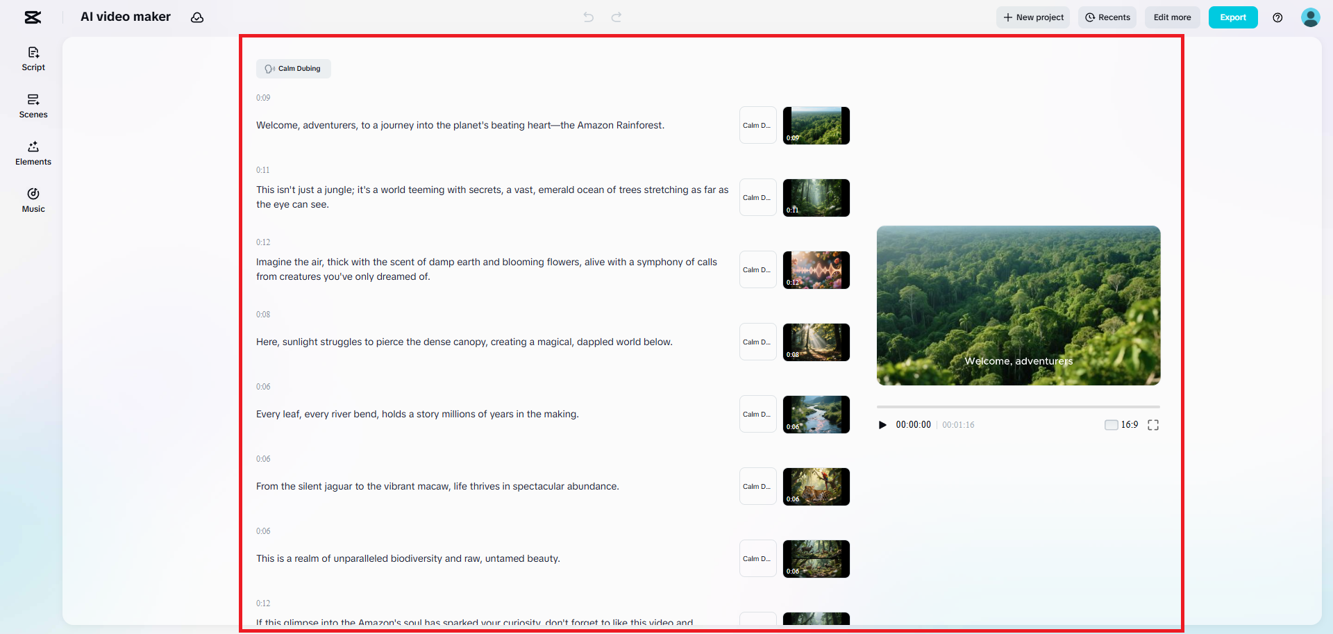Edit your video script