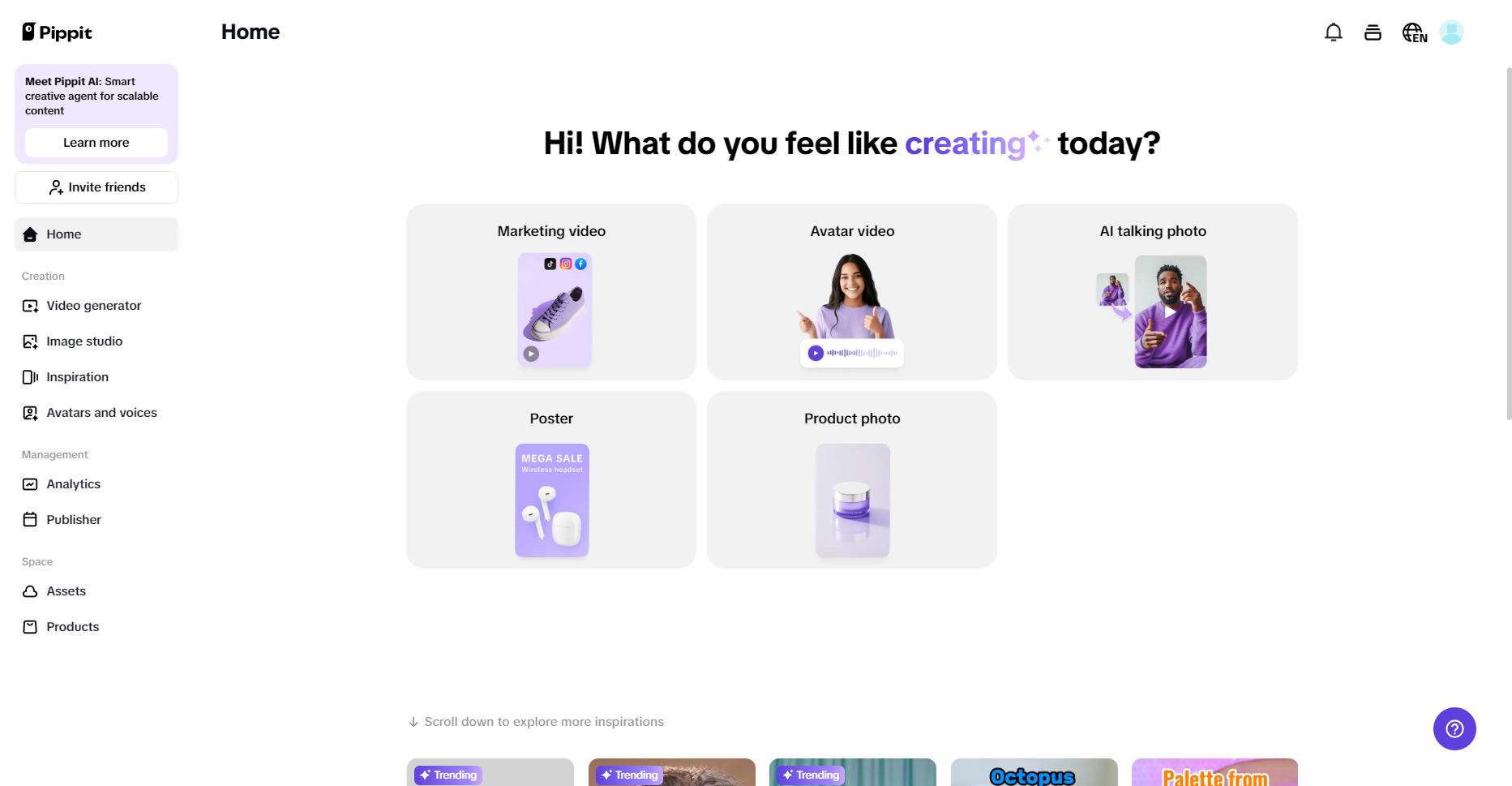 A interface do Pippit