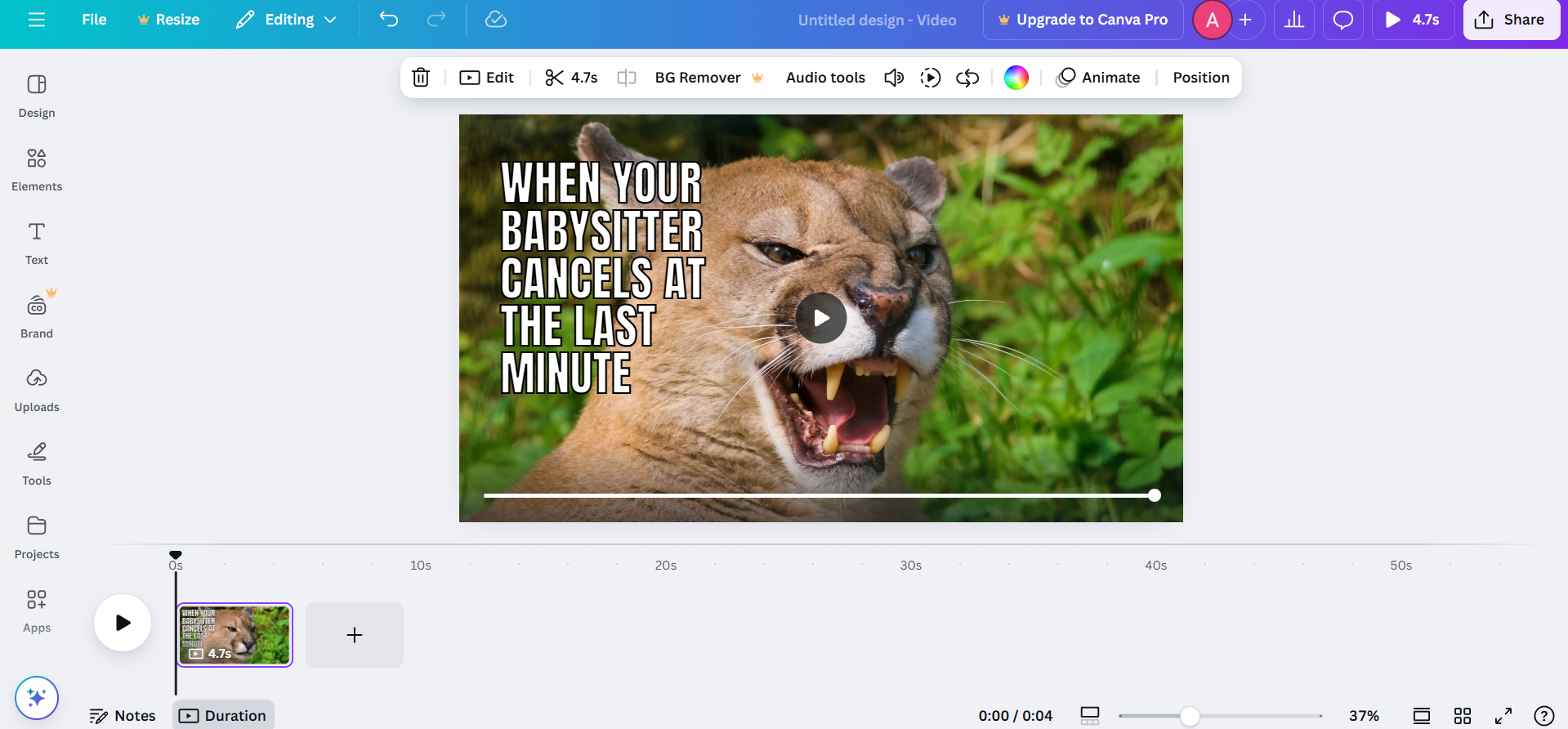 Canva interface