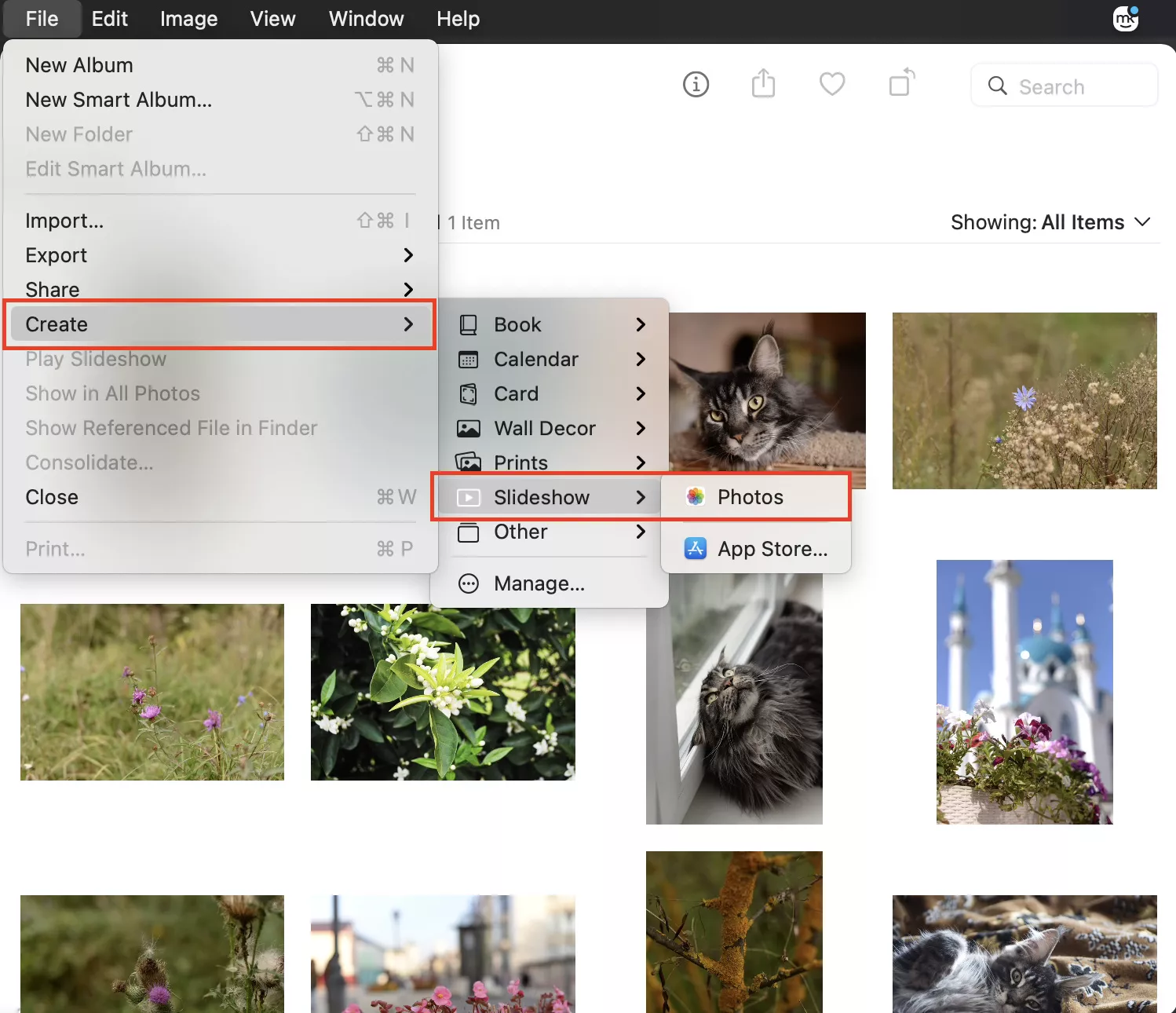 Impor dan atur foto untuk membuat tayangan slide di Mac