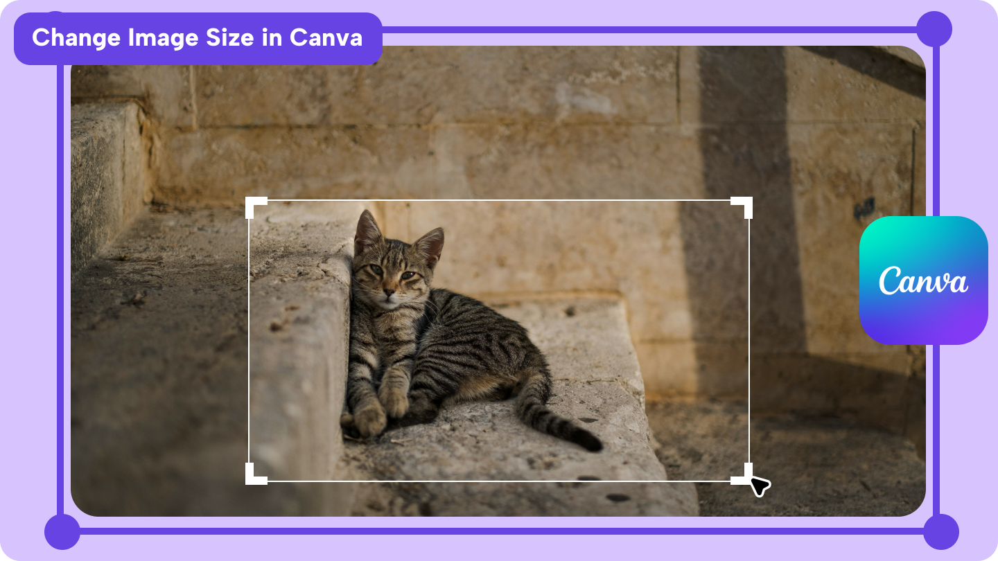 resize images in canva