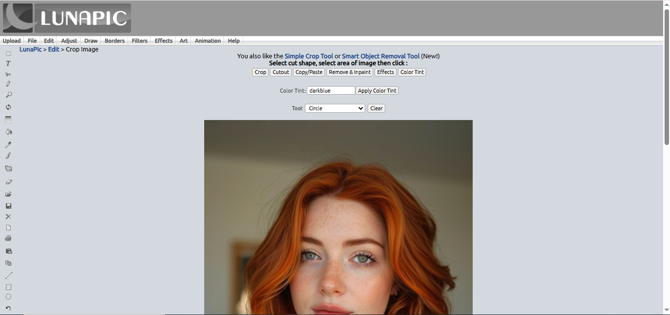 LunaPic - um conhecido editor de fotos de olhos online gratuitamente