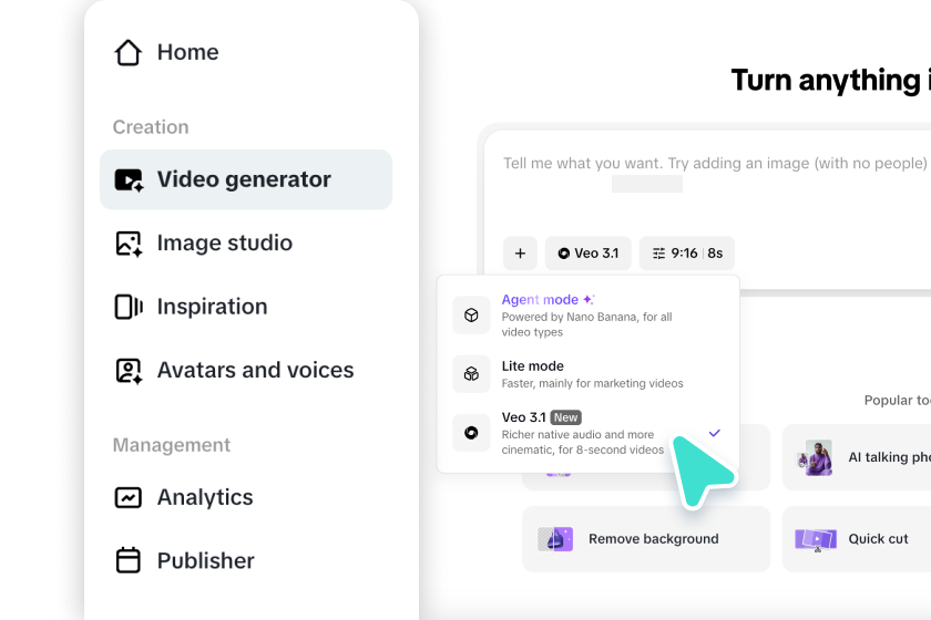 Access video generator