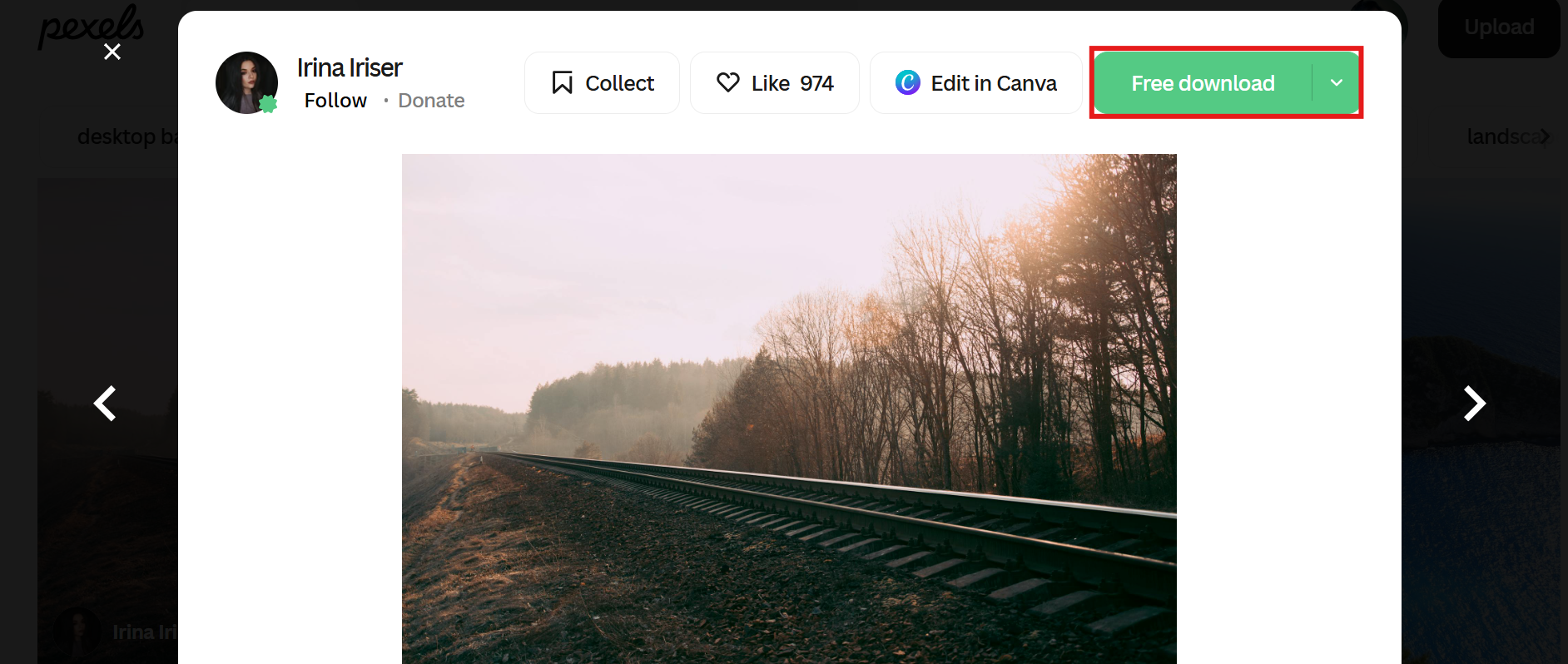 Downloaden