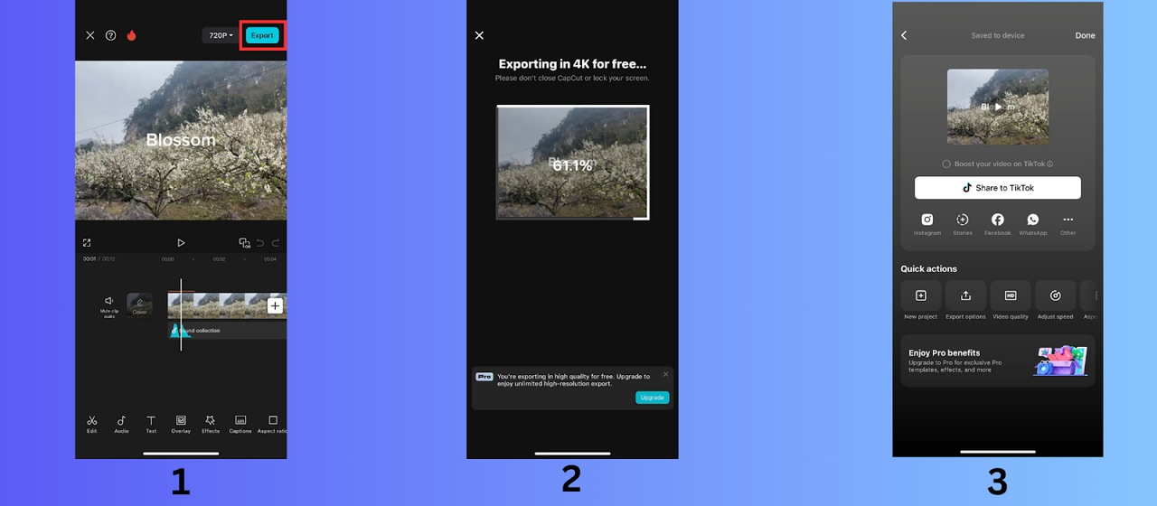 Export your video