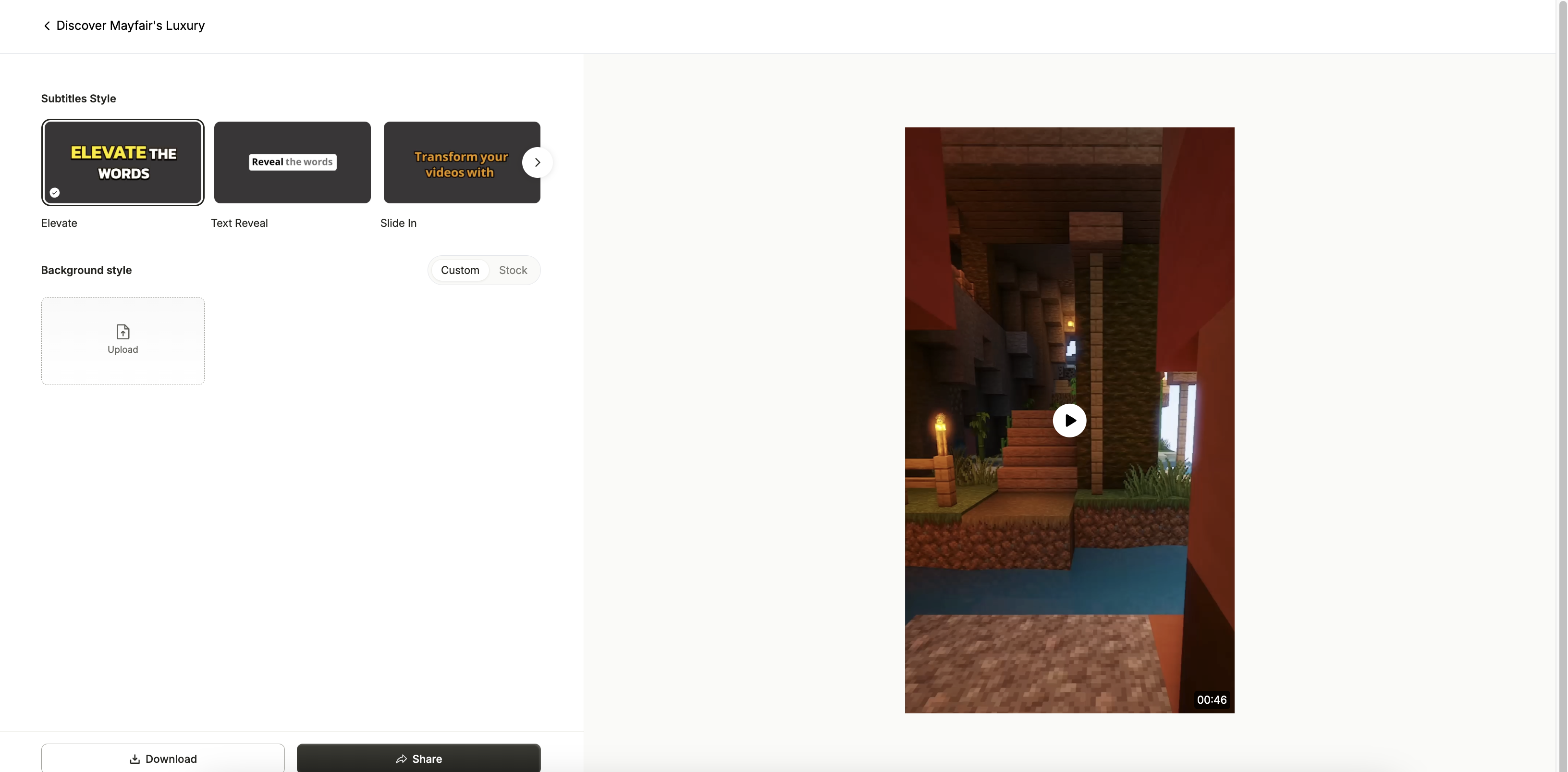Vidyo interface