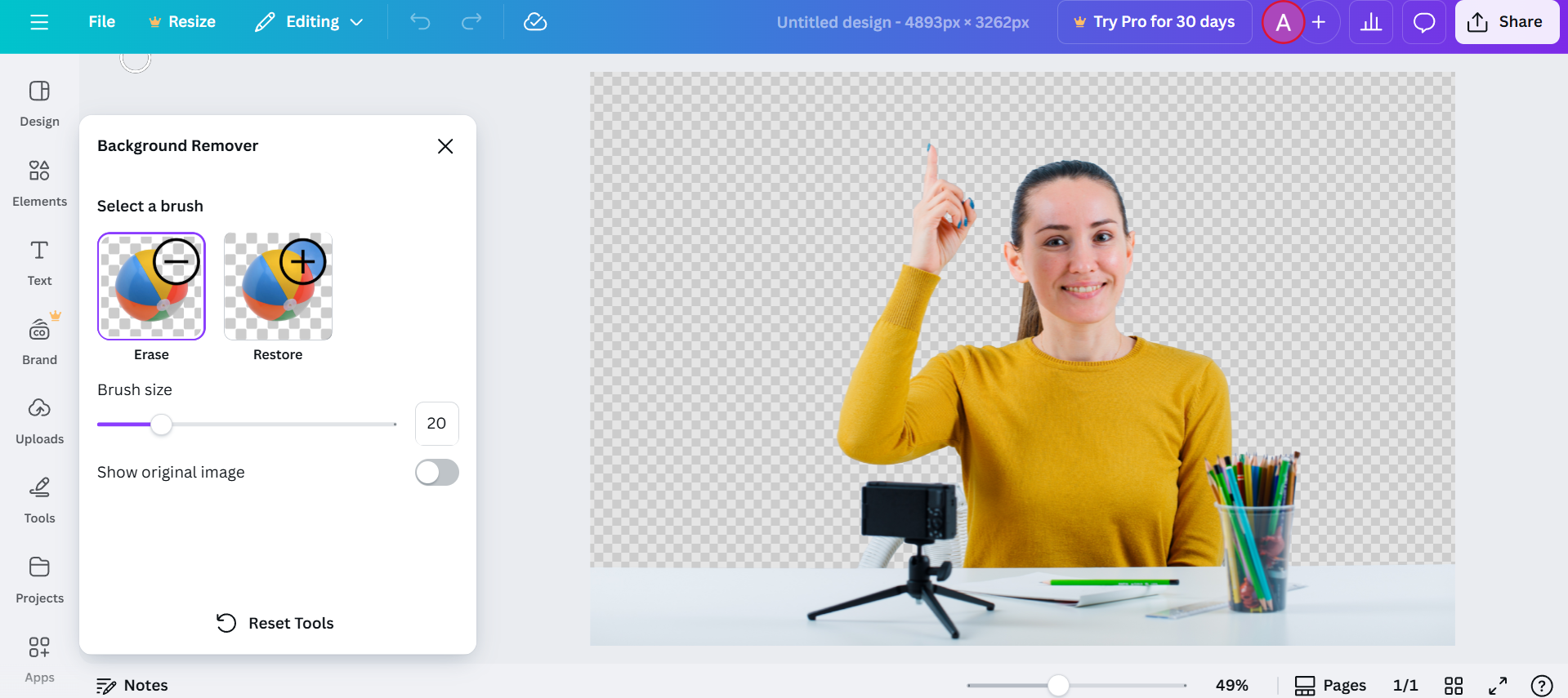 Removedor de fundo do Canva