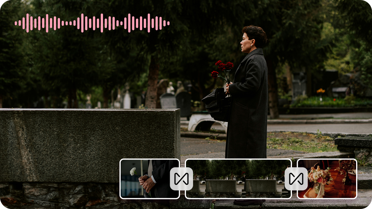 customizing tribute video templates in Pippit