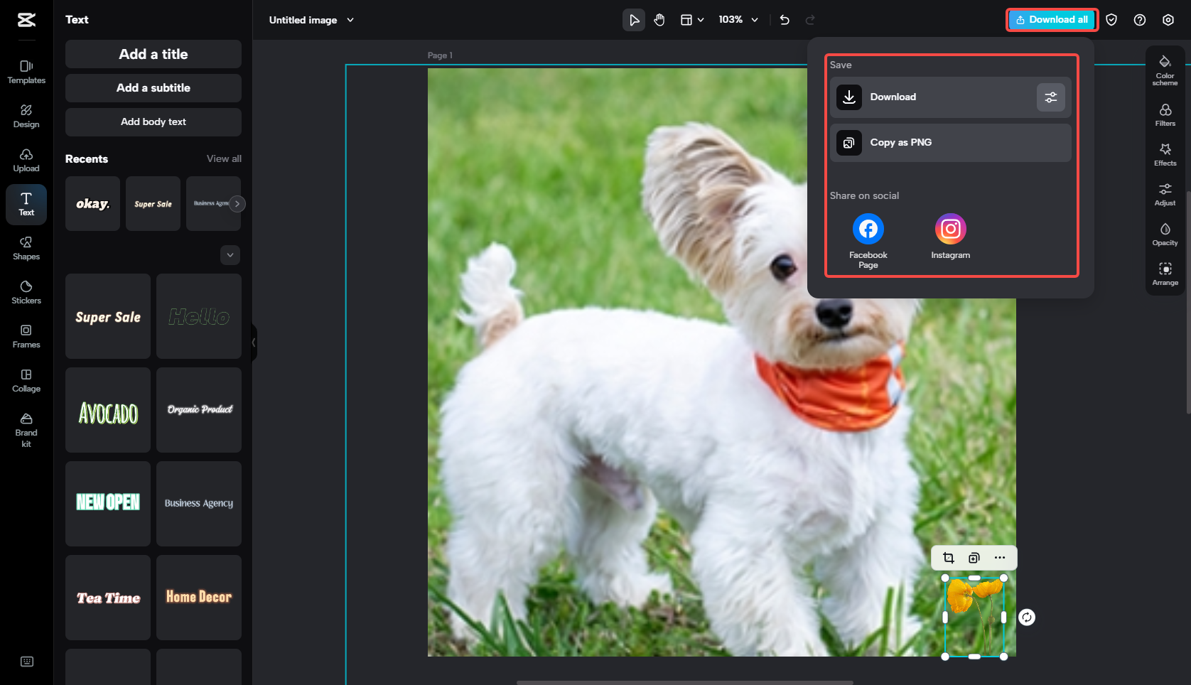 Export the edited image