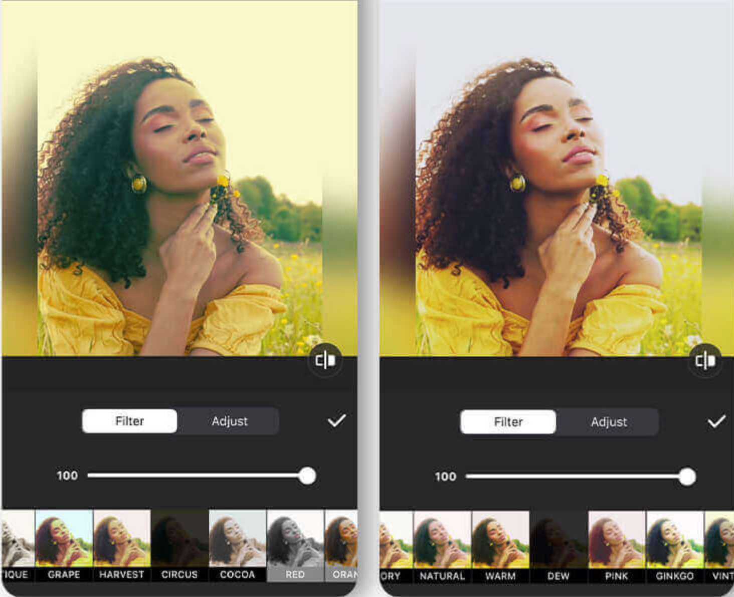 Interface of InShot - another free face editor for video on mobile
