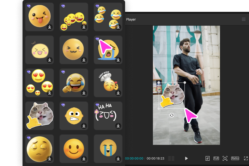 Customize the TikTok video